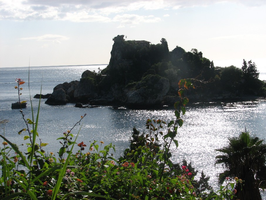 Podarcis siculus dell''Isola Bella di Taormina